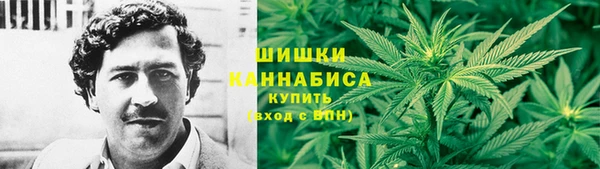 метадон Алексин