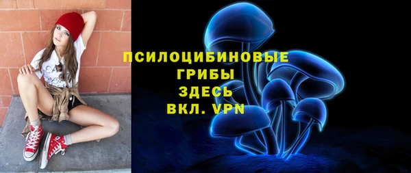 не бодяженный Алзамай